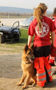 10928957_928705037141617_2057997919060374861_o