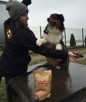 1937067_573159692850845_2066078525433077638_n