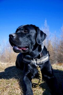 1913331_10203242417803680_749139983_o