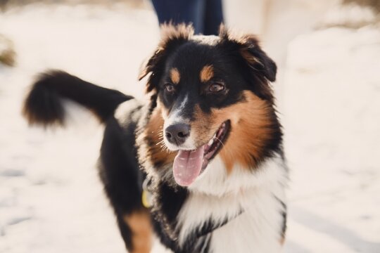 20150102_134545_3085