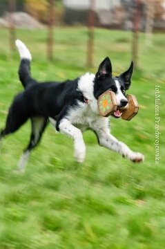 1379957_683530784998274_1397018554_n