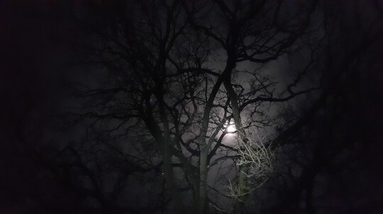 12743563_10208453119307961_8732590311930037490_n