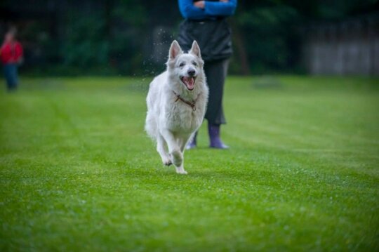 10530844_10154462053670393_5590019005933882249_n