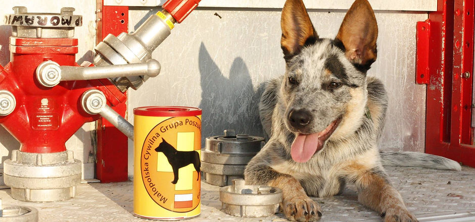 Zespół MCGPR w akcji